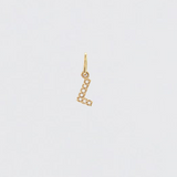 14K Solid Gold Diamonds Initial Charm