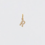 14K Solid Gold Diamonds Initial Charm