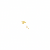 14K Solid Yellow Gold Zodiac Sign Stud Earring