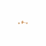 14K Solid Yellow Gold Micro Star Earrings