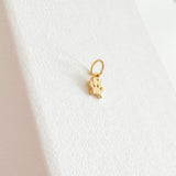 Dog Paw Custom Pendant