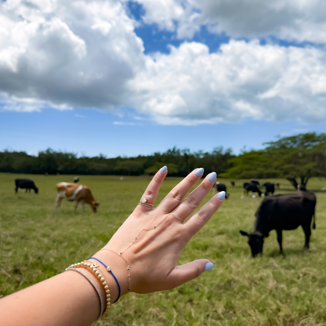 Hand with painted nails and rings in front of a pastoral scene with cows grazing with a 14k yellow gold blue sapphire hand chain bracelet with bezel set.
