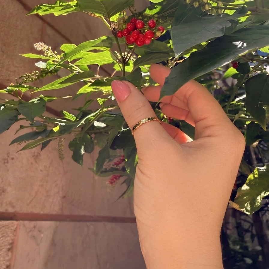 Close-up of a hand wearing a 14K solid yellow gold multiple hearts band ring, delicate continuous heart design catching warm natural sunlight while touching greenery with red berries in the background