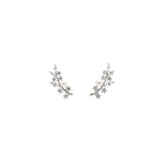 Pair of silver earrings with small pearls on a white background