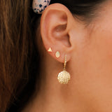 14K Solid Yellow Gold Oval Earrings